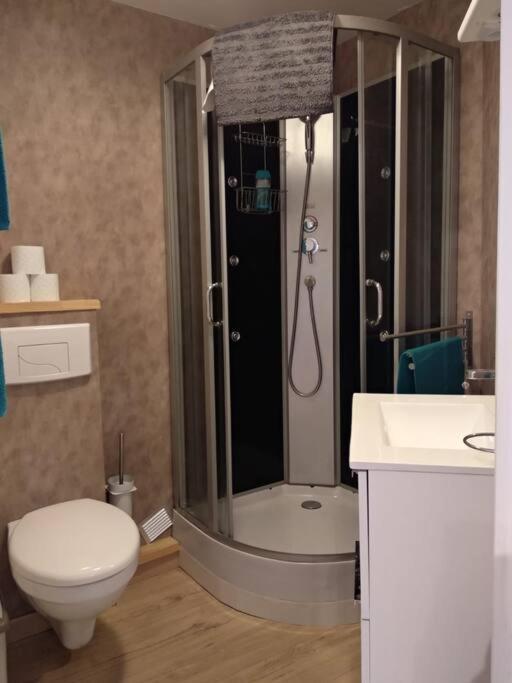 Appartement Centre Ville Rose 圖盧茲 外观 照片